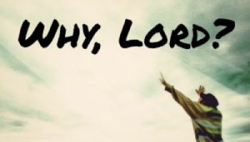 Why-Lord
